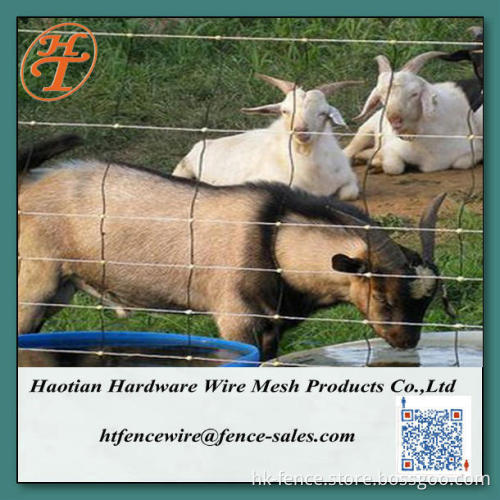 factory direct sale galvanized field fence